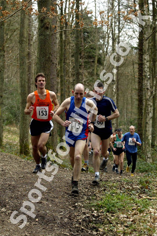 Hamsterley Forest Run